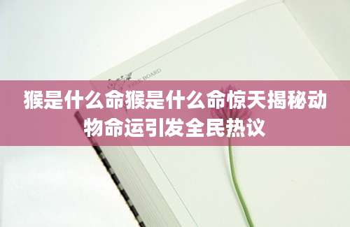 猴是什么命猴是什么命惊天揭秘动物命运引发全民热议