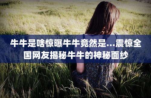 牛牛是啥惊曝牛牛竟然是...震惊全国网友揭秘牛牛的神秘面纱