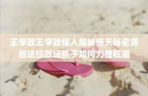 王学政王学政惊人揭秘惊天秘密背后这位政坛巨子如何力挽狂澜