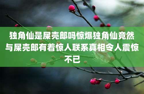 独角仙是屎壳郎吗惊爆独角仙竟然与屎壳郎有着惊人联系真相令人震惊不已