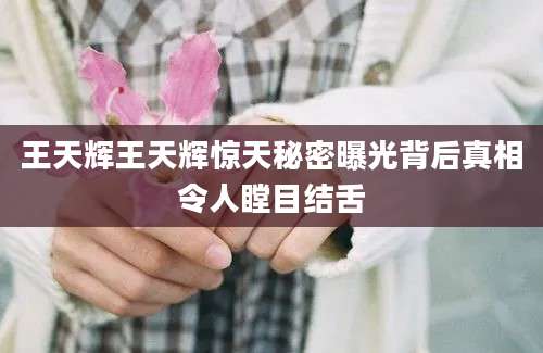 王天辉王天辉惊天秘密曝光背后真相令人瞠目结舌