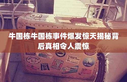 牛国栋牛国栋事件爆发惊天揭秘背后真相令人震惊