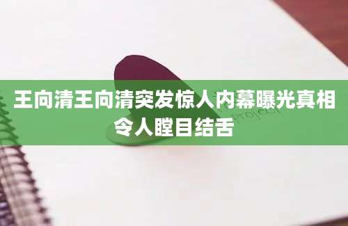 王向清王向清突发惊人内幕曝光真相令人瞠目结舌