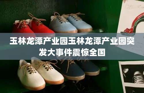 玉林龙潭产业园玉林龙潭产业园突发大事件震惊全国