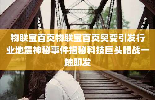 物联宝首页物联宝首页突变引发行业地震神秘事件揭秘科技巨头暗战一触即发