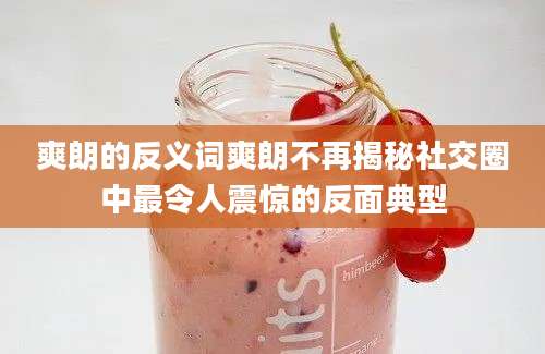 爽朗的反义词爽朗不再揭秘社交圈中最令人震惊的反面典型