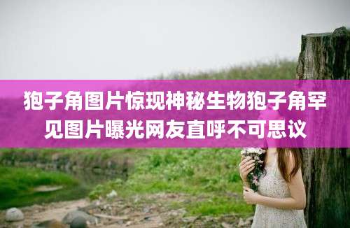 狍子角图片惊现神秘生物狍子角罕见图片曝光网友直呼不可思议