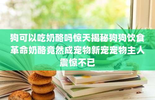 狗可以吃奶酪吗惊天揭秘狗狗饮食革命奶酪竟然成宠物新宠宠物主人震惊不已