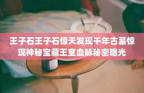 王子石王子石惊天发现千年古墓惊现神秘宝藏王室血脉秘密曝光