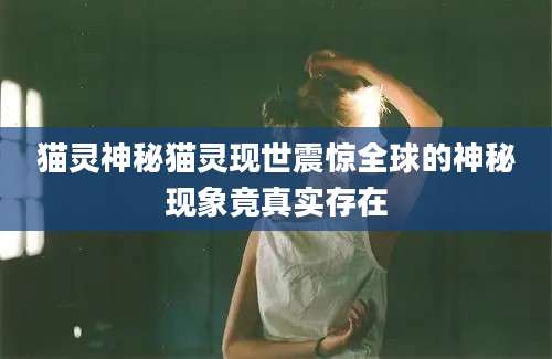 猫灵神秘猫灵现世震惊全球的神秘现象竟真实存在