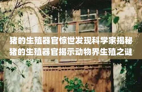 猪的生殖器官惊世发现科学家揭秘猪的生殖器官揭示动物界生殖之谜