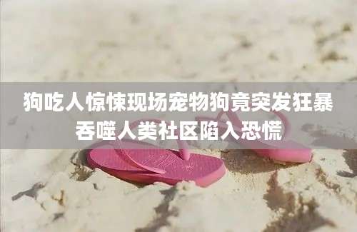 狗吃人惊悚现场宠物狗竟突发狂暴吞噬人类社区陷入恐慌