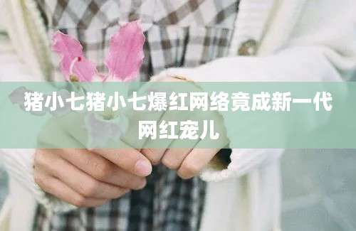 猪小七猪小七爆红网络竟成新一代网红宠儿