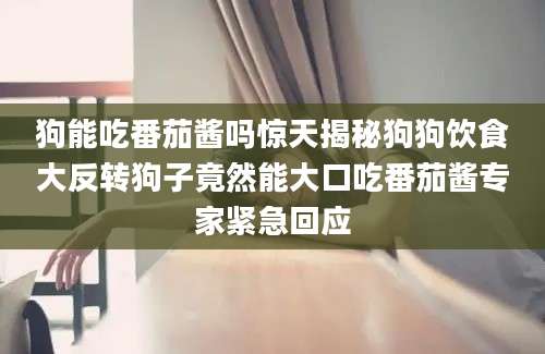狗能吃番茄酱吗惊天揭秘狗狗饮食大反转狗子竟然能大口吃番茄酱专家紧急回应