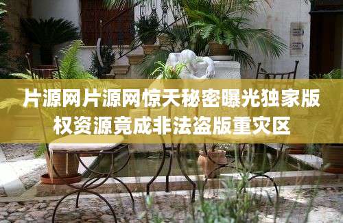 片源网片源网惊天秘密曝光独家版权资源竟成非法盗版重灾区