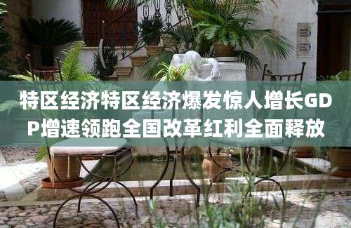 特区经济特区经济爆发惊人增长GDP增速领跑全国改革红利全面释放