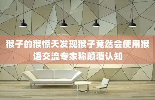 猴子的猴惊天发现猴子竟然会使用猴语交流专家称颠覆认知
