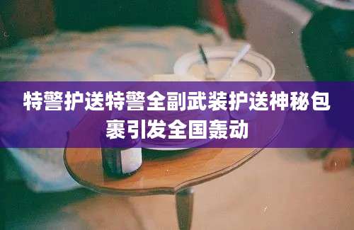 特警护送特警全副武装护送神秘包裹引发全国轰动