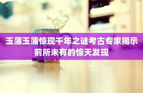 玉蒲玉蒲惊现千年之谜考古专家揭示前所未有的惊天发现