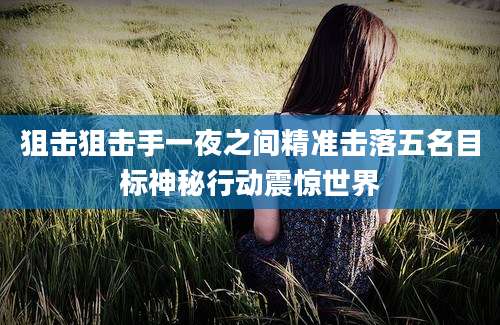 狙击狙击手一夜之间精准击落五名目标神秘行动震惊世界