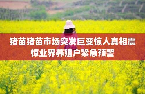 猪苗猪苗市场突发巨变惊人真相震惊业界养殖户紧急预警