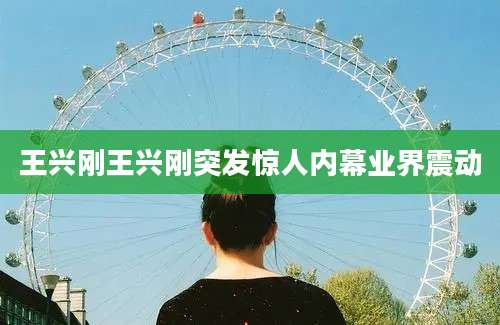 王兴刚王兴刚突发惊人内幕业界震动
