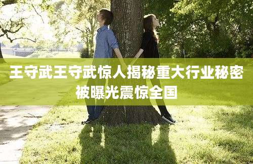 王守武王守武惊人揭秘重大行业秘密被曝光震惊全国