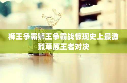 狮王争霸狮王争霸战惊现史上最激烈草原王者对决
