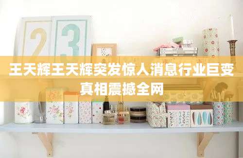 王天辉王天辉突发惊人消息行业巨变真相震撼全网