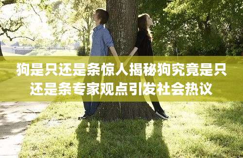狗是只还是条惊人揭秘狗究竟是只还是条专家观点引发社会热议
