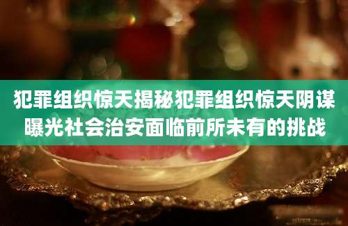 犯罪组织惊天揭秘犯罪组织惊天阴谋曝光社会治安面临前所未有的挑战