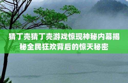 猜丁壳猜丁壳游戏惊现神秘内幕揭秘全民狂欢背后的惊天秘密