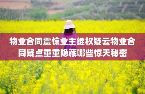 物业合同震惊业主维权疑云物业合同疑点重重隐藏哪些惊天秘密
