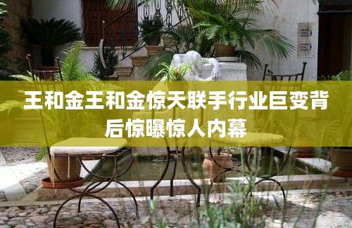 王和金王和金惊天联手行业巨变背后惊曝惊人内幕