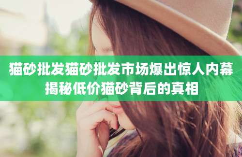 猫砂批发猫砂批发市场爆出惊人内幕揭秘低价猫砂背后的真相