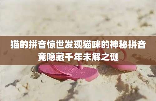 猫的拼音惊世发现猫咪的神秘拼音竟隐藏千年未解之谜