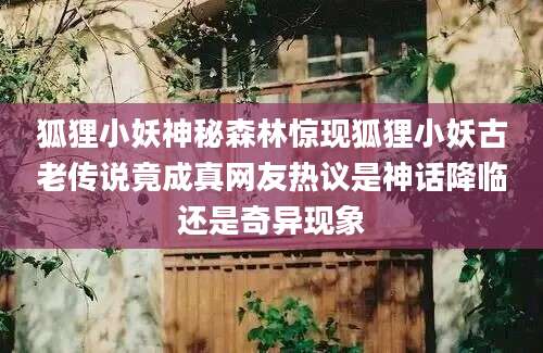 狐狸小妖神秘森林惊现狐狸小妖古老传说竟成真网友热议是神话降临还是奇异现象