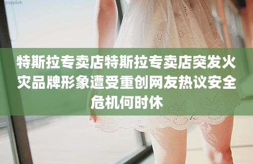 特斯拉专卖店特斯拉专卖店突发火灾品牌形象遭受重创网友热议安全危机何时休