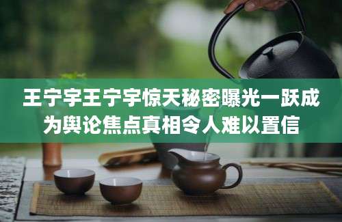 王宁宇王宁宇惊天秘密曝光一跃成为舆论焦点真相令人难以置信