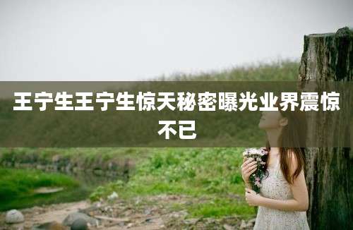 王宁生王宁生惊天秘密曝光业界震惊不已