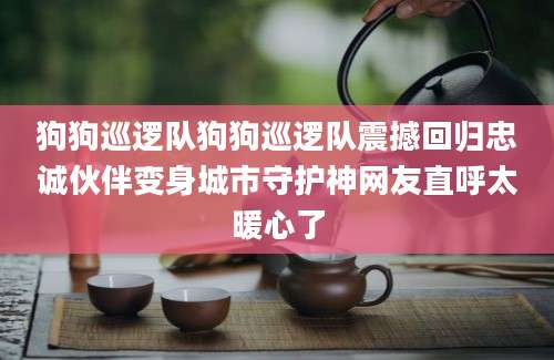狗狗巡逻队狗狗巡逻队震撼回归忠诚伙伴变身城市守护神网友直呼太暖心了