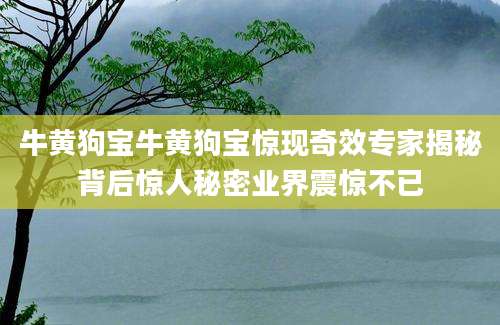 牛黄狗宝牛黄狗宝惊现奇效专家揭秘背后惊人秘密业界震惊不已