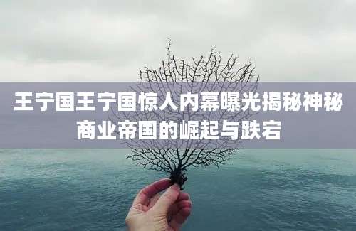 王宁国王宁国惊人内幕曝光揭秘神秘商业帝国的崛起与跌宕