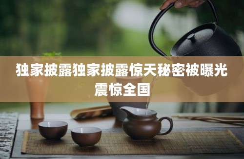 独家披露独家披露惊天秘密被曝光震惊全国