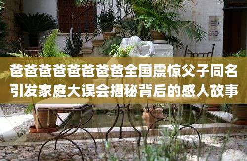 爸爸爸爸爸爸爸爸全国震惊父子同名引发家庭大误会揭秘背后的感人故事