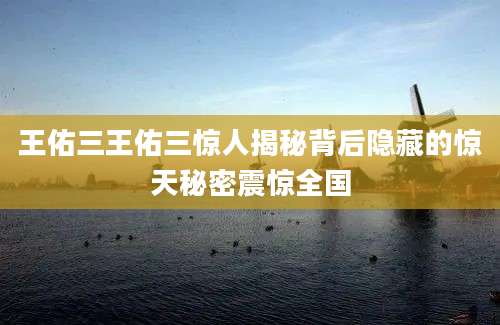 王佑三王佑三惊人揭秘背后隐藏的惊天秘密震惊全国