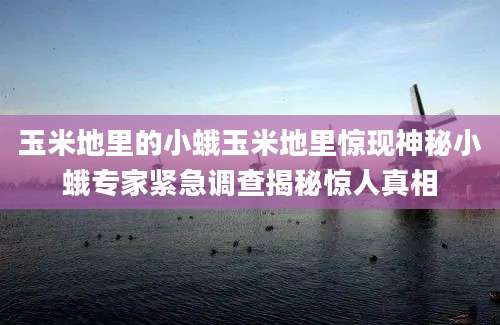玉米地里的小蛾玉米地里惊现神秘小蛾专家紧急调查揭秘惊人真相