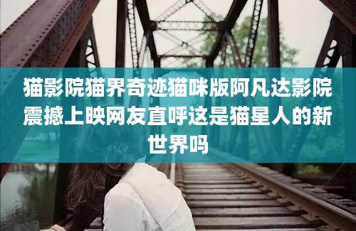 猫影院猫界奇迹猫咪版阿凡达影院震撼上映网友直呼这是猫星人的新世界吗