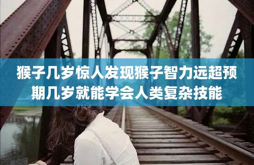 猴子几岁惊人发现猴子智力远超预期几岁就能学会人类复杂技能
