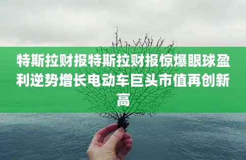 特斯拉财报特斯拉财报惊爆眼球盈利逆势增长电动车巨头市值再创新高